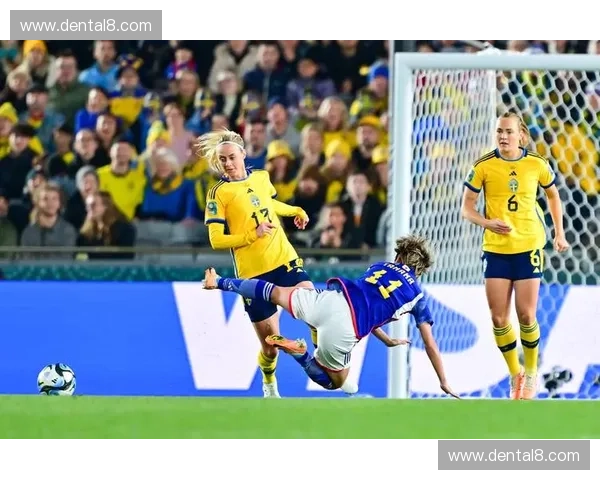 世界杯焦点：瑞典队备战策略与球迷热情全景解析